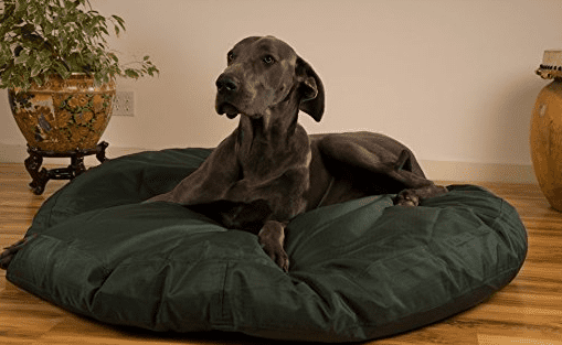 Unchewable Dog Beds