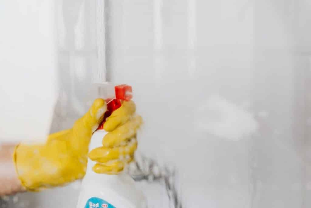 Mold Removers for a Bathroom