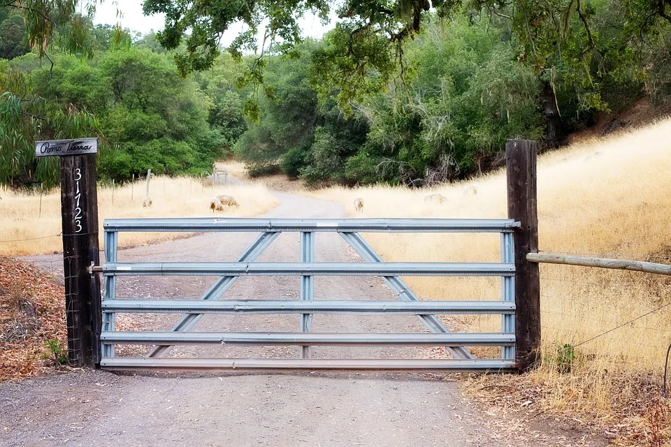 best free standing dog gate