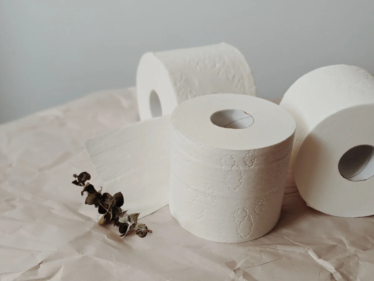 best toilet paper for bidet