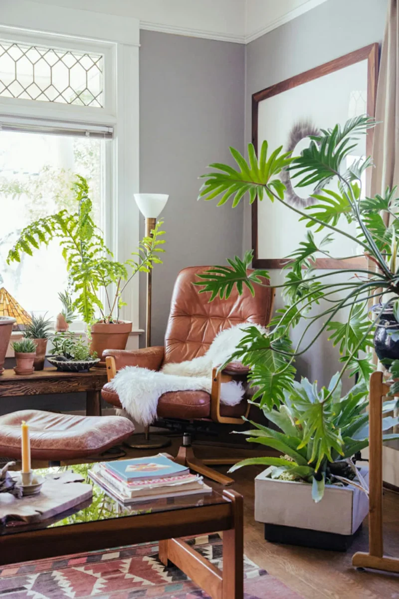 decorating with plants