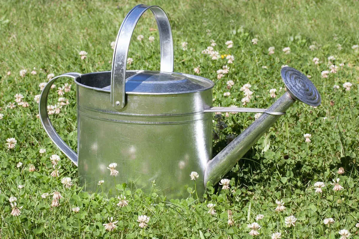 small watering can with shower head